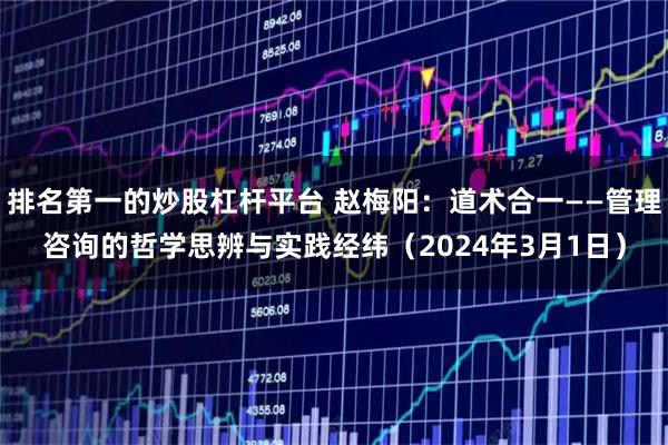 排名第一的炒股杠杆平台 赵梅阳：道术合一——管理咨询的哲学思辨与实践经纬（2024年3月1日）