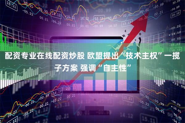 配资专业在线配资炒股 欧盟提出“技术主权”一揽子方案 强调“自主性”